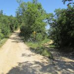 Good tracks through the hills