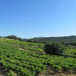 Looking up to the hills where I will shortly be sweating through by foot and bike