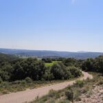 Looking south (roughly) over "Gard"