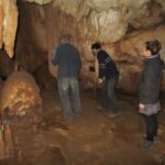 Cavemen making rock music