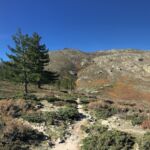 Looking down into the upland grazing area of Padule. A dairy operates here during the summer.