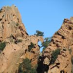 Palanches de Piana
