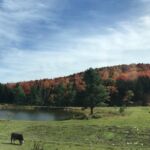 Scenery by Brattleboro