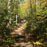 The first part of the hike led along the Appalachian Way