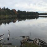 Griffith Lake