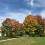 Middlebury College campus