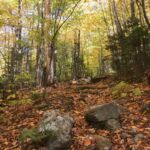 Start of the Butler Lodge Trail