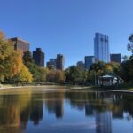 The Frog Pond on Boston Common
