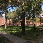Grounds of Harvard University