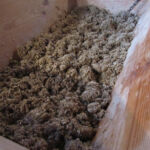 The mixed dough, resting