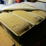 Risen and ready for baking