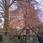 Our accommodation, the summerhouse