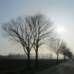 Northern Germany is flat...