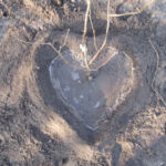 Tree-planting with love