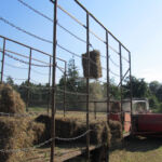 Haymaking. The bales got shot out the back and directly into the trailer. My job was picking up the ones that missed the trailer.